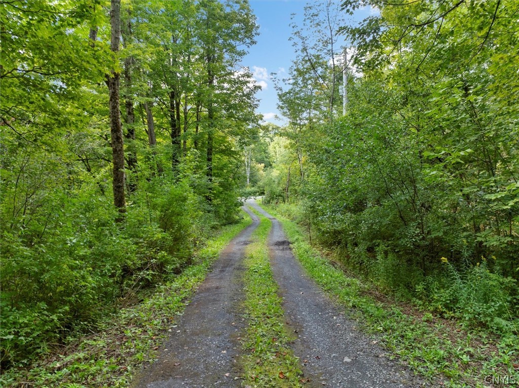 2236 Gorton Lake Road Brookfield, NY 13485 - Photo 45 of 48
