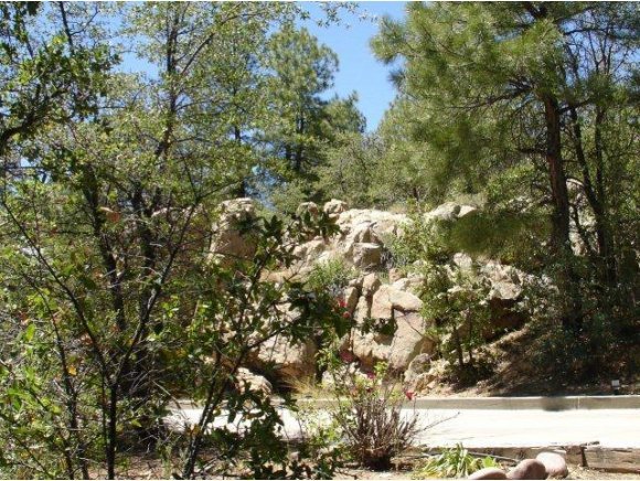 1117 East Timber Ridge Road, Unit 1 Prescott, AZ 86303 - Photo 11 of 24 Additional Photo