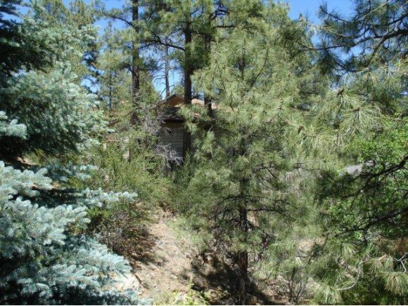 1117 East Timber Ridge Road, Unit 1 Prescott, AZ 86303 - Photo 12 of 24 Additional Photo