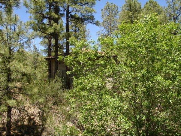 1117 East Timber Ridge Road, Unit 1 Prescott, AZ 86303 - Photo 13 of 24 Additional Photo