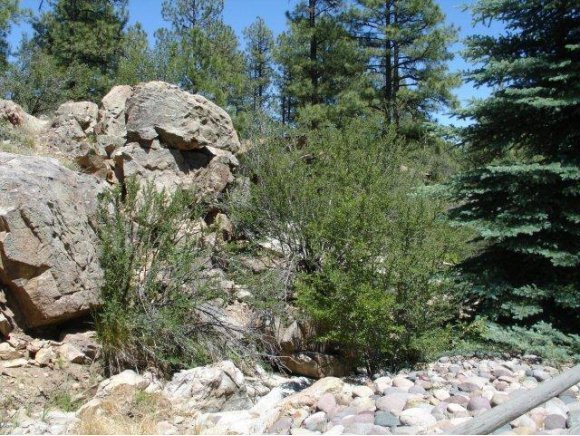 1117 East Timber Ridge Road, Unit 1 Prescott, AZ 86303 - Photo 10 of 24 Additional Photo