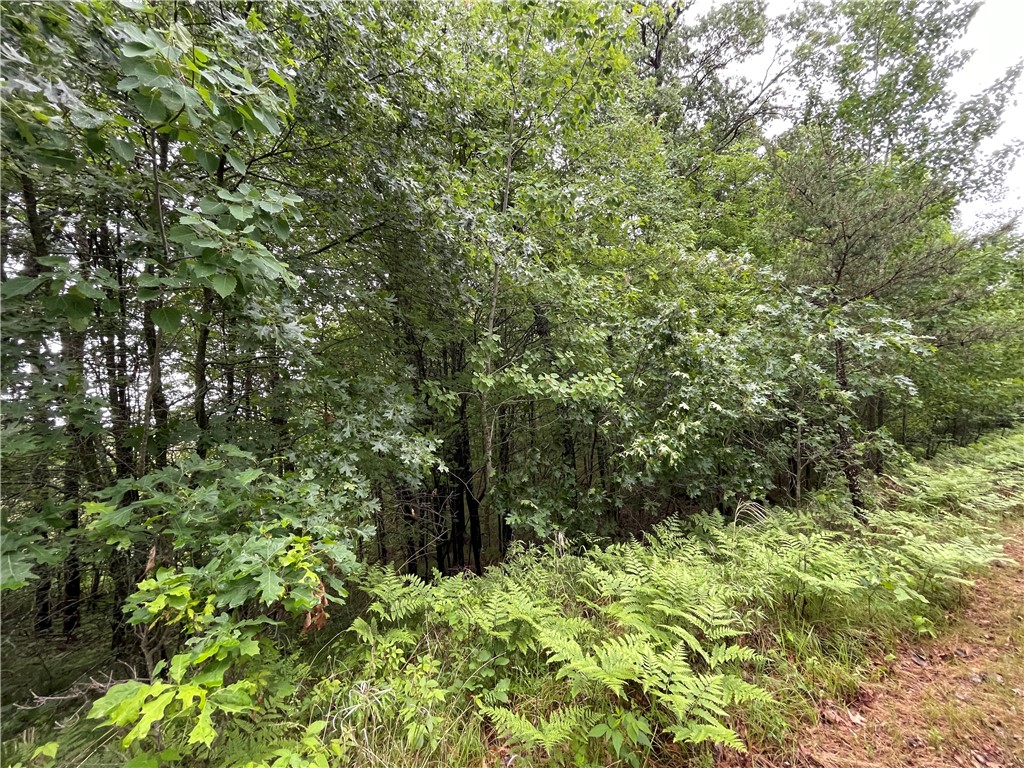 0 Loon Lake Road Spooner, WI 54801 - Photo 27 of 28