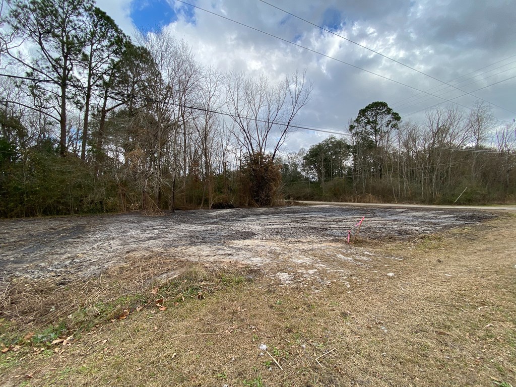 0 South Broad Street Samson, AL 36477 - Photo 9 of 10