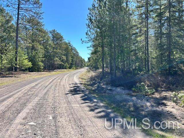61 Little Rice Lk Road Lake Linden, MI 49945 - Photo 2 of 29