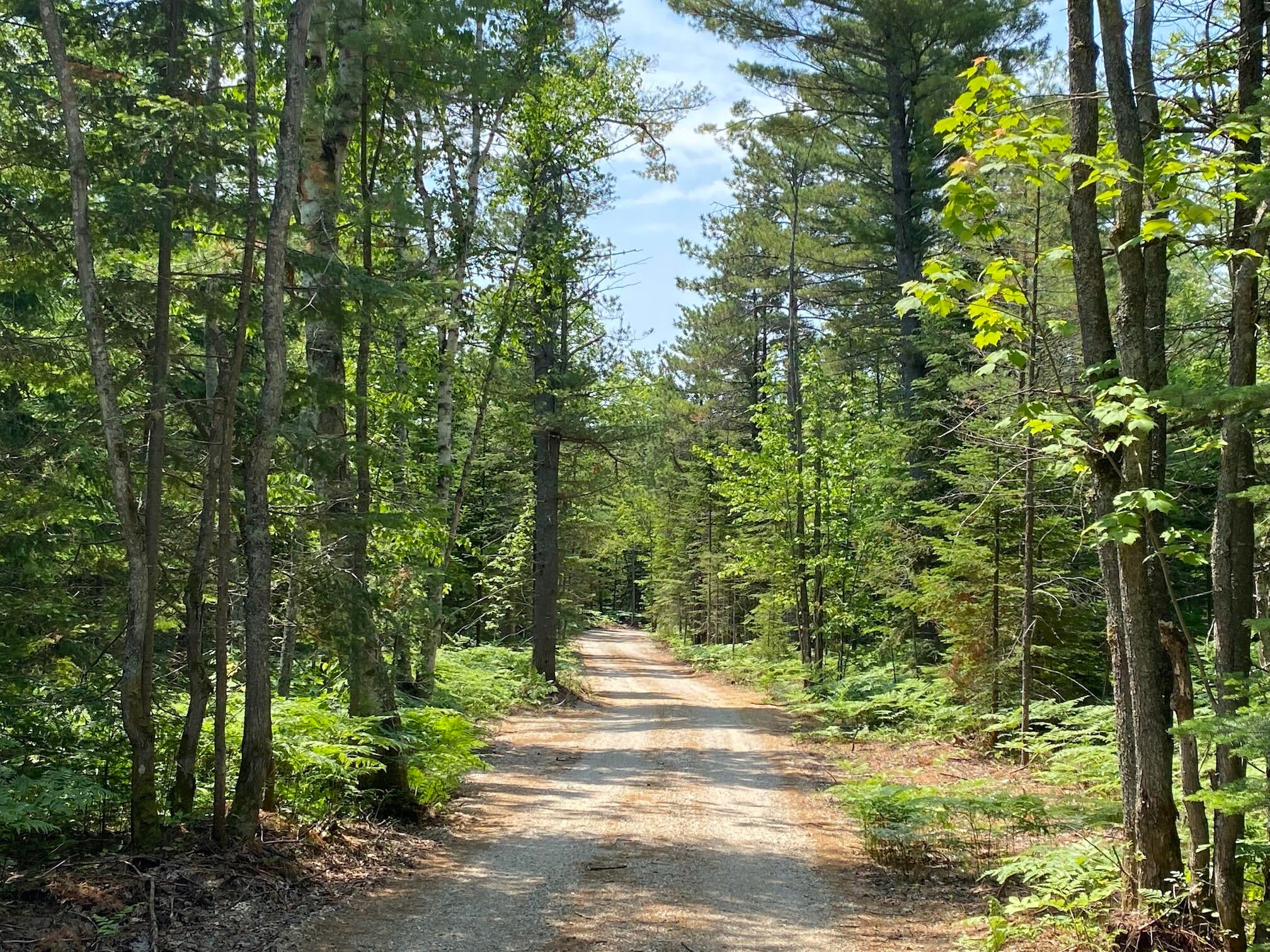 Lot 30 North Whitefish Point Road Paradise, MI 49768 - Photo 5 of 8 Gallery Image 5