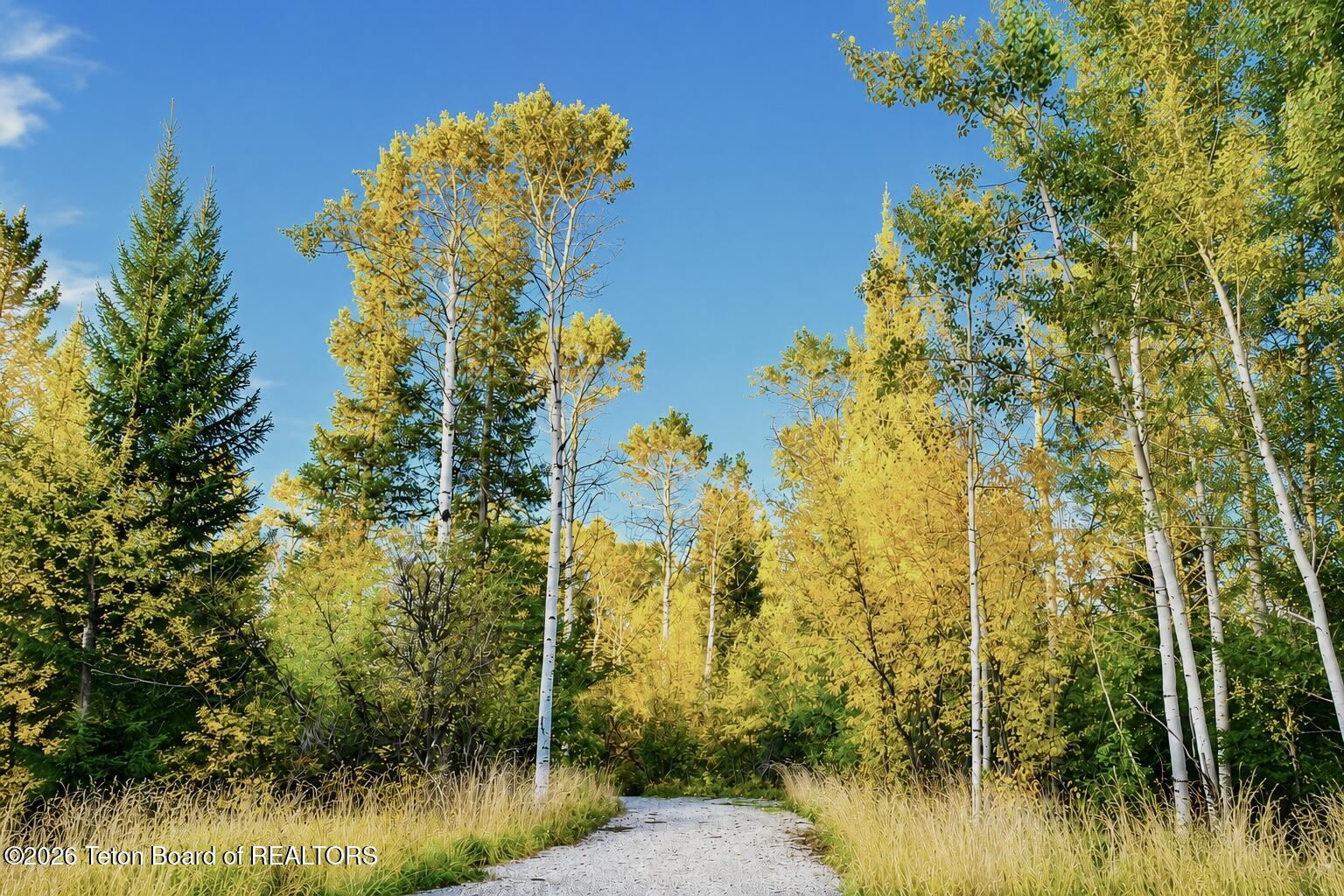 Tbd South Stateline Road Alta, WY 83414 - Photo 16 of 16 TBD Stateline Fall Colors