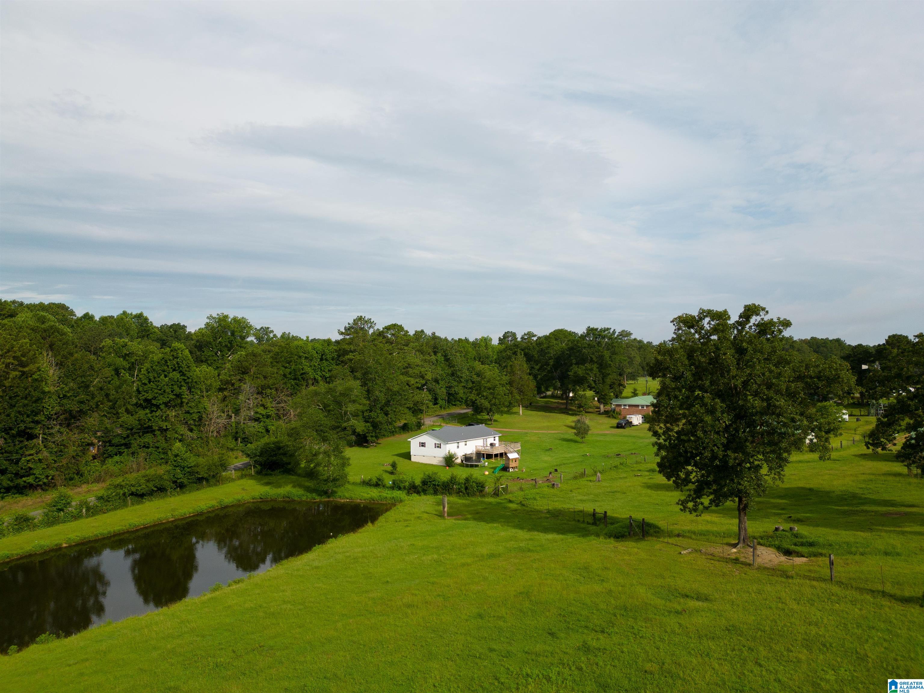 5101 Reeder Road Dora, AL 35062 - Photo 9 of 10