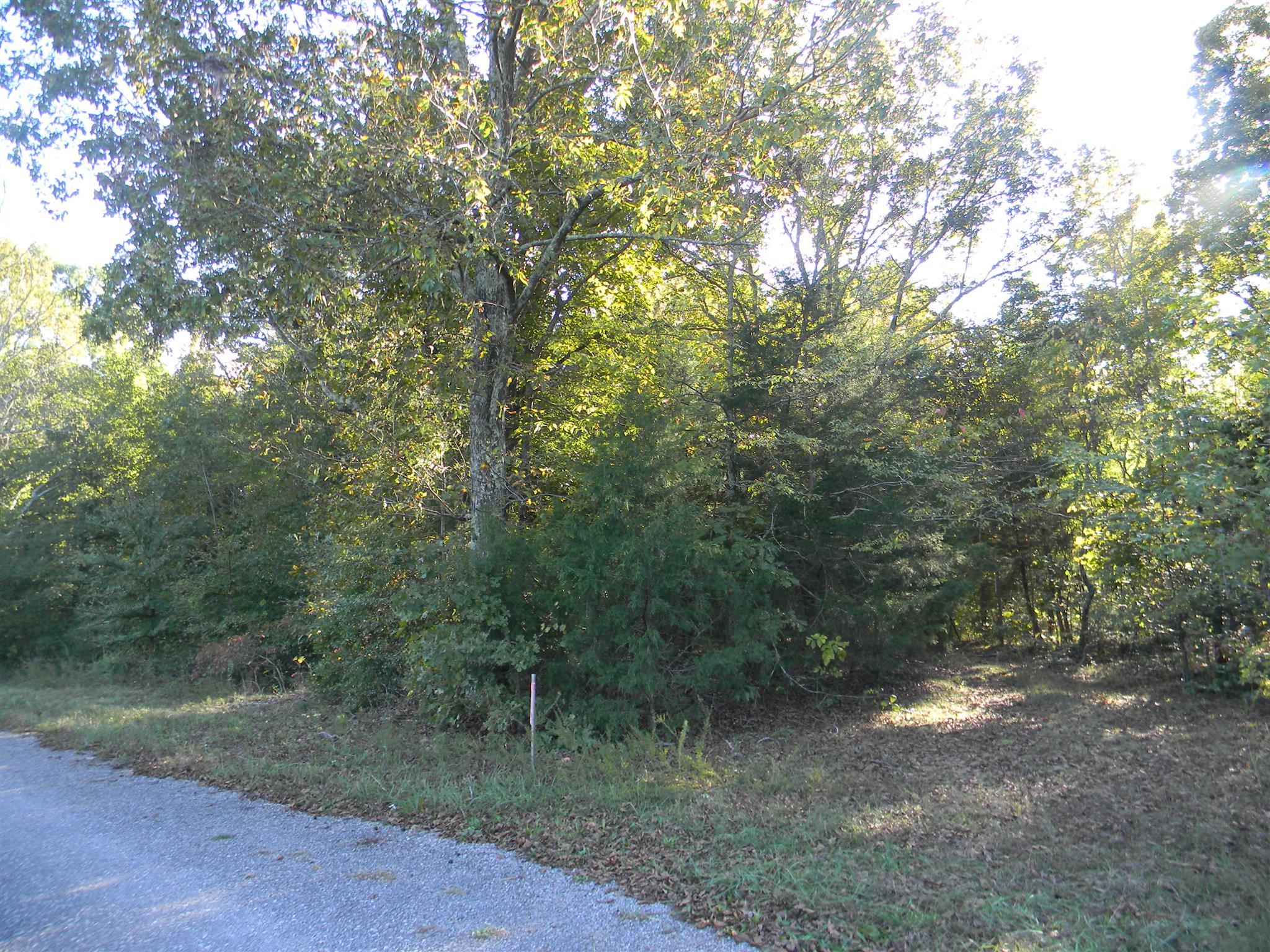 0 Calvin Potts Road, Unit 1 Primm Springs, TN 38476 - Photo 12 of 13 Gallery Image 12