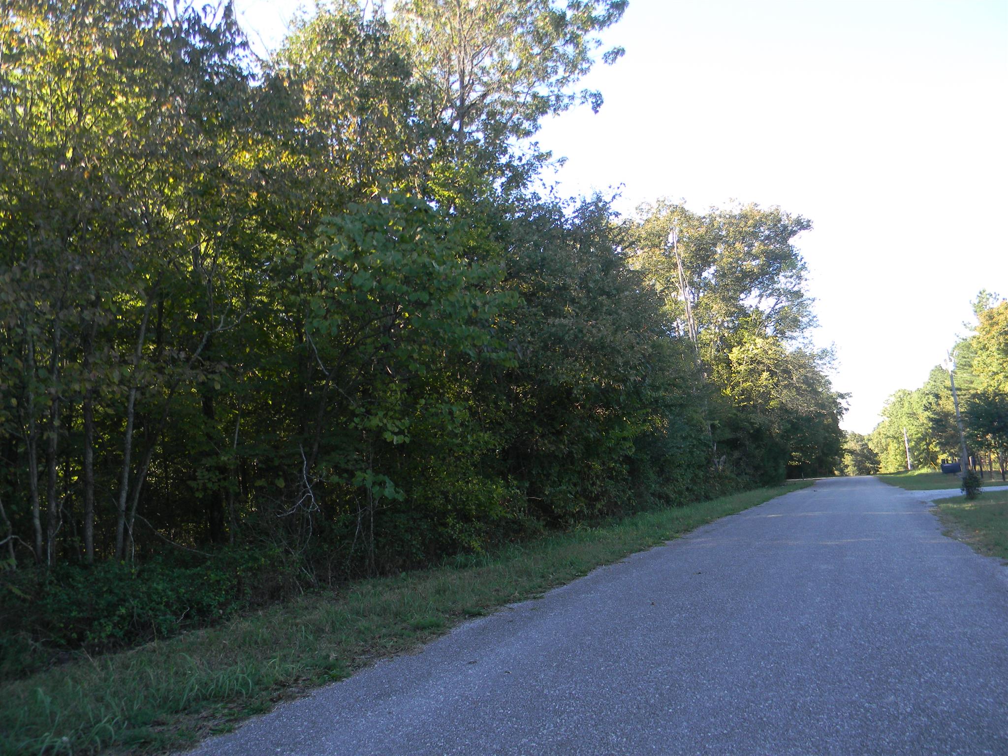 0 Calvin Potts Road, Unit 1 Primm Springs, TN 38476 - Photo 13 of 13 Gallery Image 13