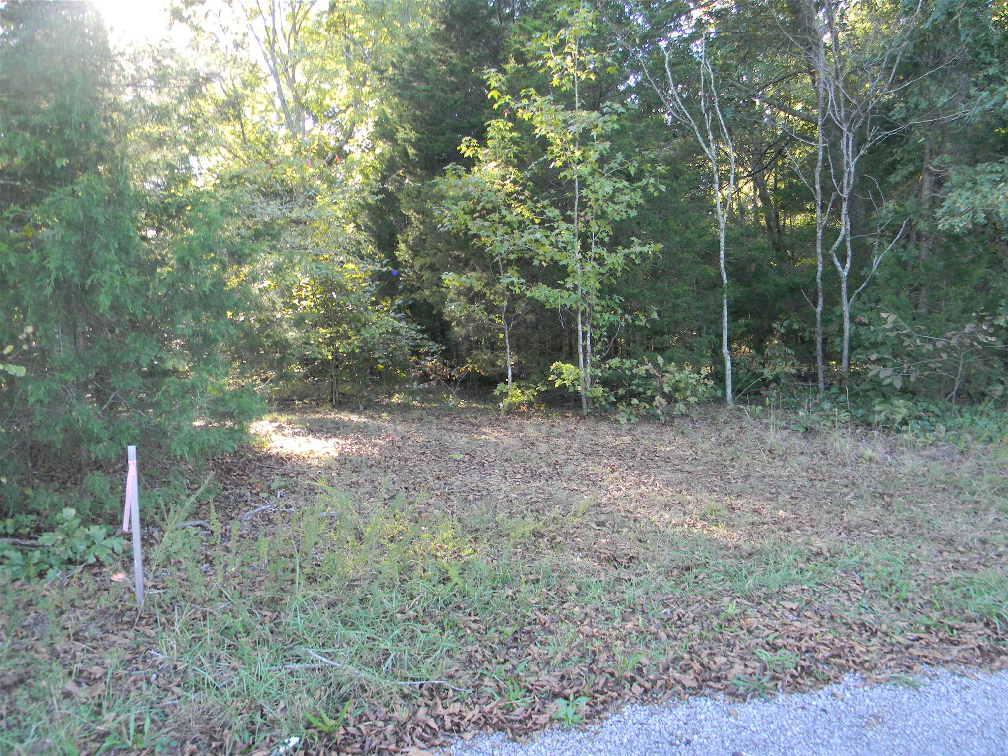 0 Calvin Potts Road, Unit 1 Primm Springs, TN 38476 - Photo 8 of 13 Gallery Image 8