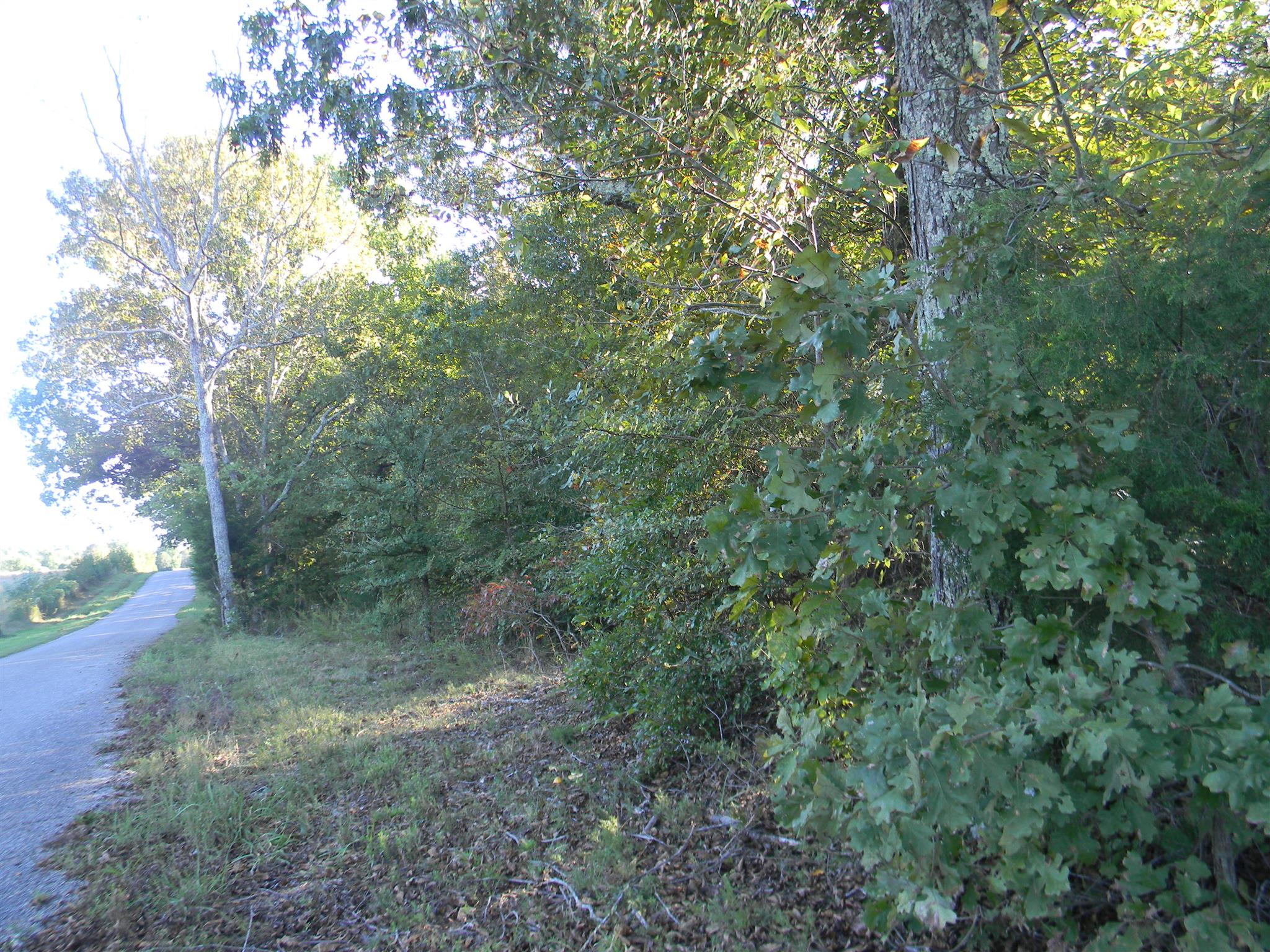 0 Calvin Potts Road, Unit 1 Primm Springs, TN 38476 - Photo 9 of 13 Gallery Image 9