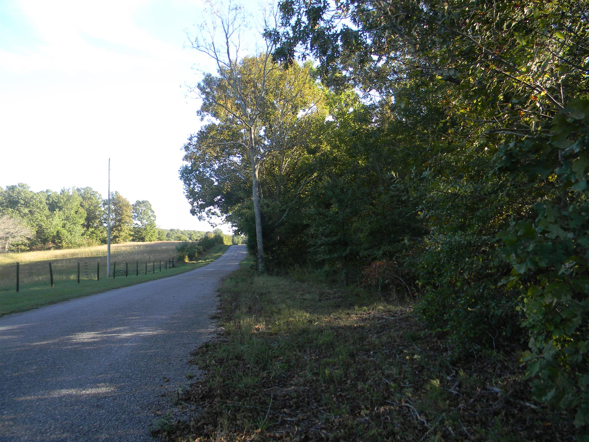 0 Calvin Potts Road, Unit 1 Primm Springs, TN 38476 - Photo 10 of 13 Gallery Image 10