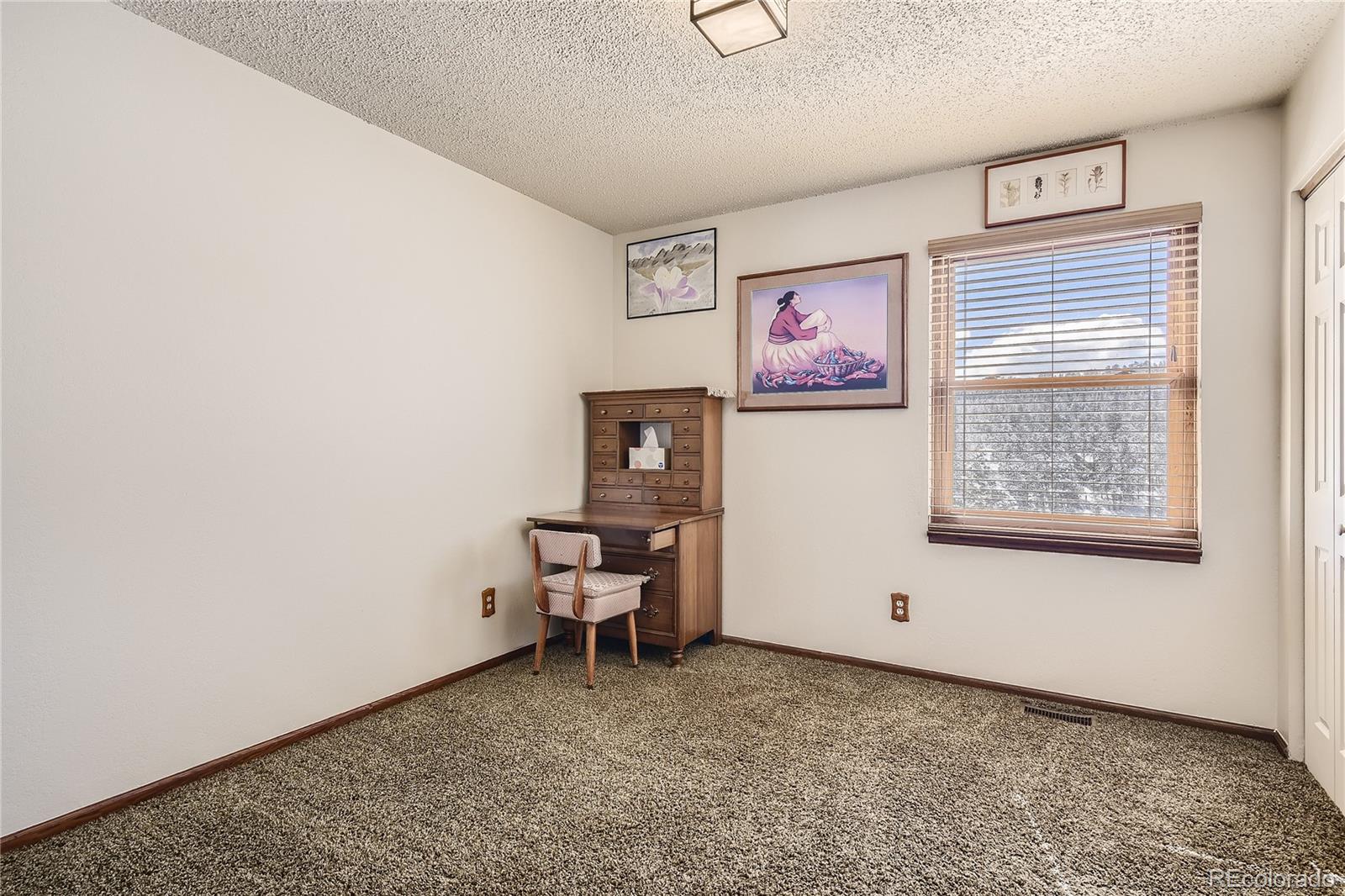 1749 County Road 72 Bailey, CO 80421 - Photo 17 of 35 a view of room with window and furniture