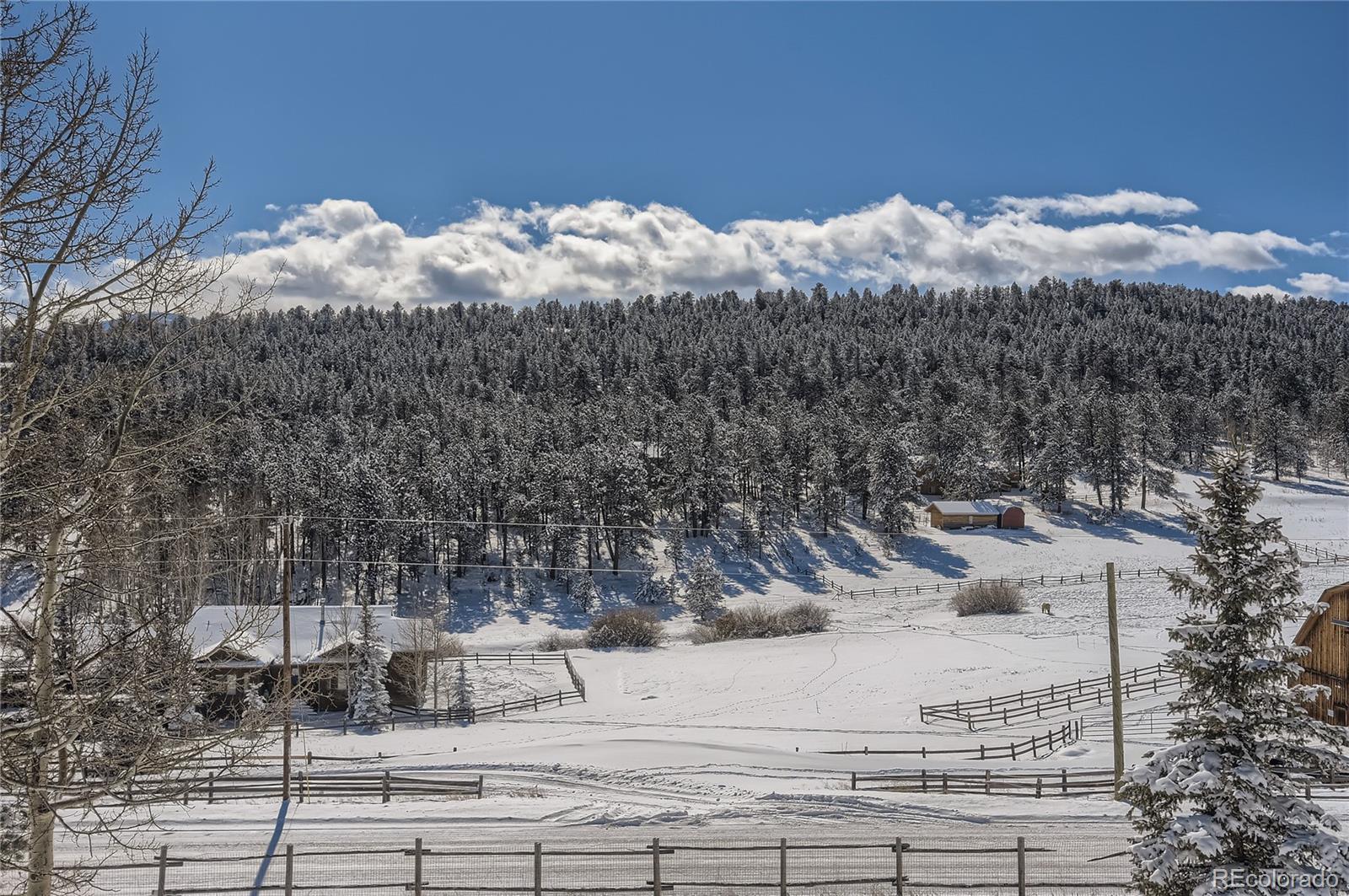 1749 County Road 72 Bailey, CO 80421 - Photo 26 of 35 a view of a house with a snow