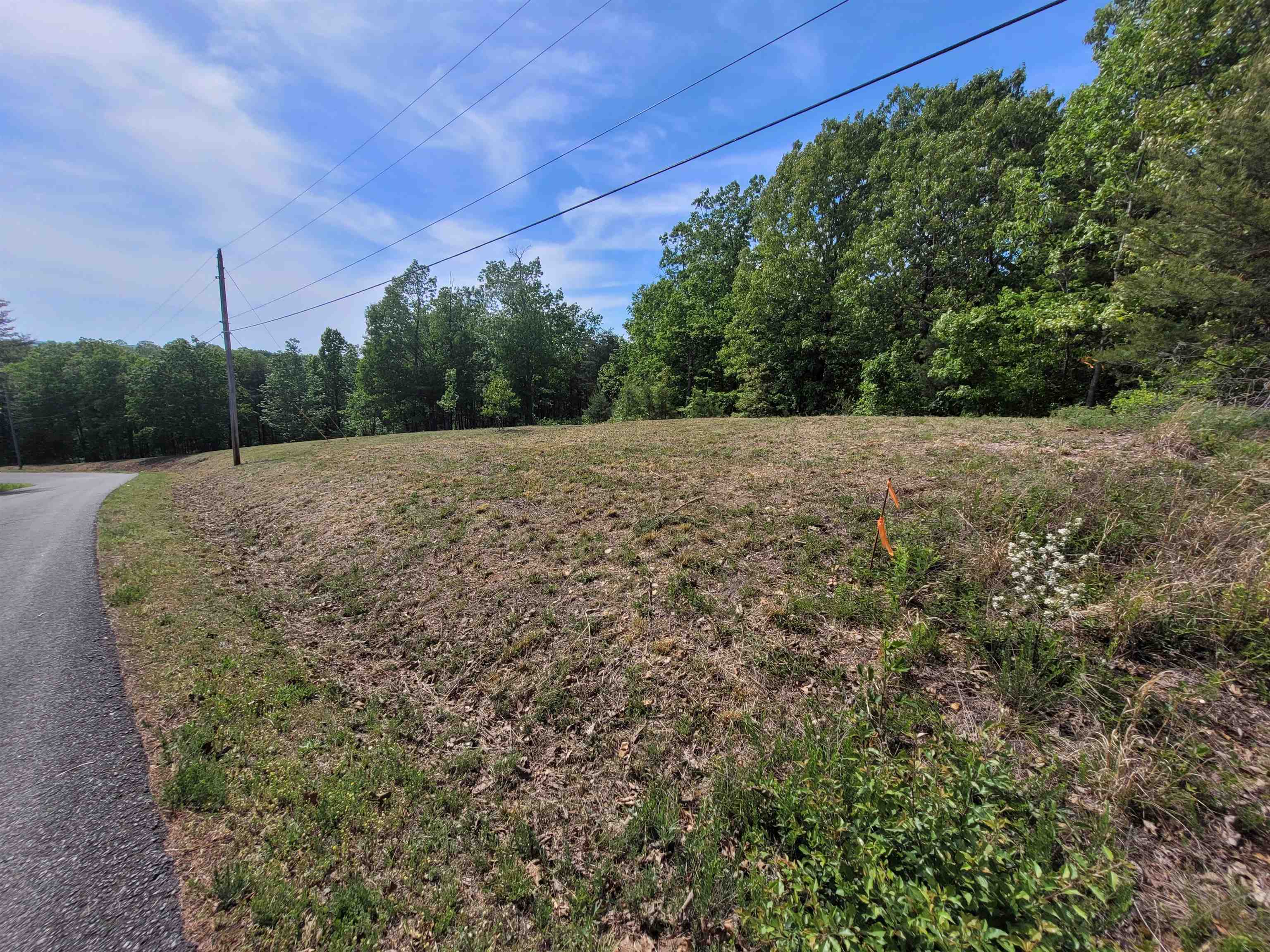 2 Turtle Point Lane Waverly, TN 37185 - Photo 6 of 17