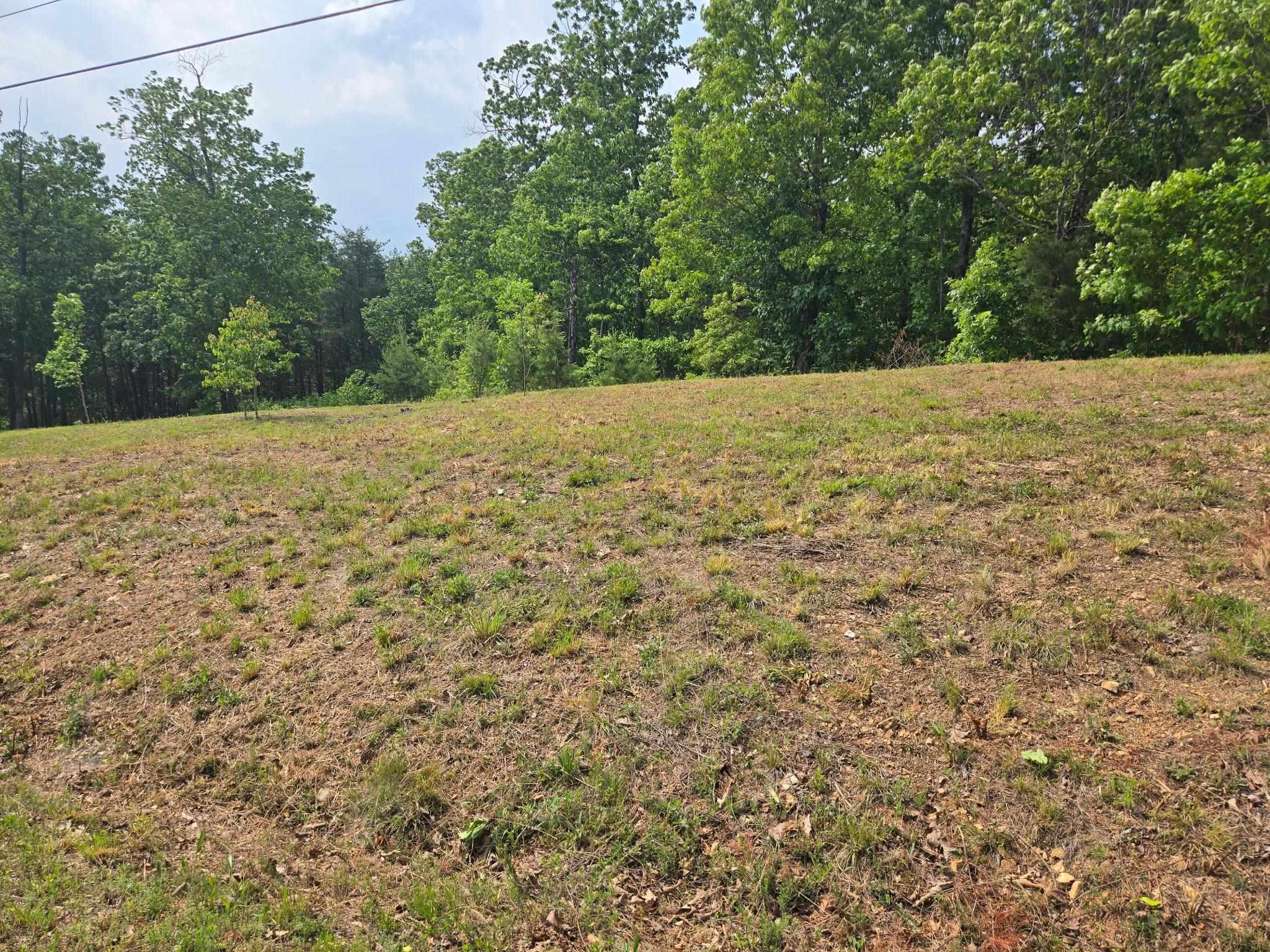2 Turtle Point Lane Waverly, TN 37185 - Photo 8 of 17