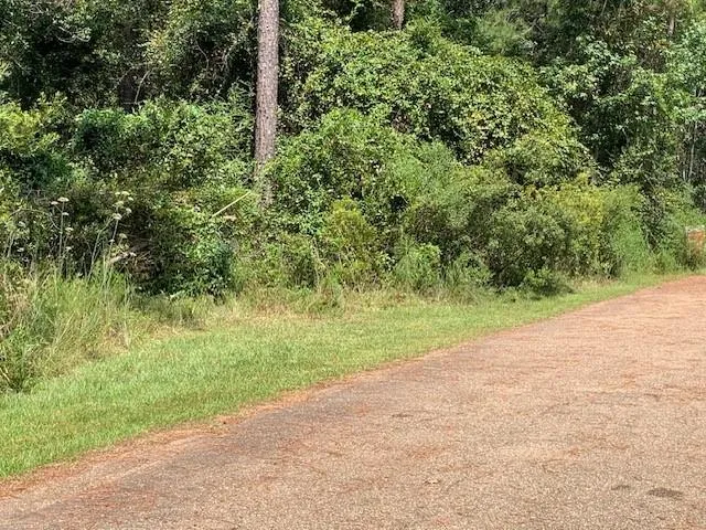 $30,000 | 0 Sq 30 Crain Street, Abita Springs, LA 70420