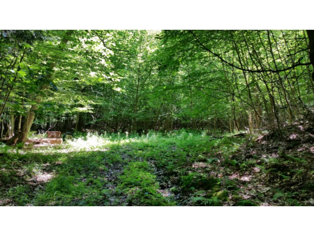 62 Stevens Road Hanover, NH 03755 - Photo 2 of 19