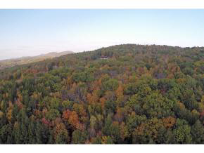 62 Stevens Road Hanover, NH 03755 - Photo 11 of 19