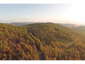 62 Stevens Road Hanover, NH 03755 - Photo 13 of 19