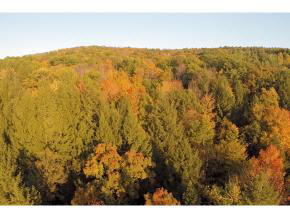 62 Stevens Road Hanover, NH 03755 - Photo 15 of 19