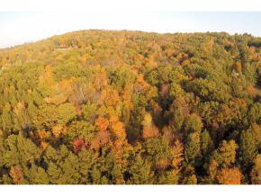 62 Stevens Road Hanover, NH 03755 - Photo 18 of 19