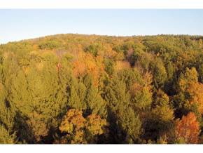 62 Stevens Road Hanover, NH 03755 - Photo 19 of 19