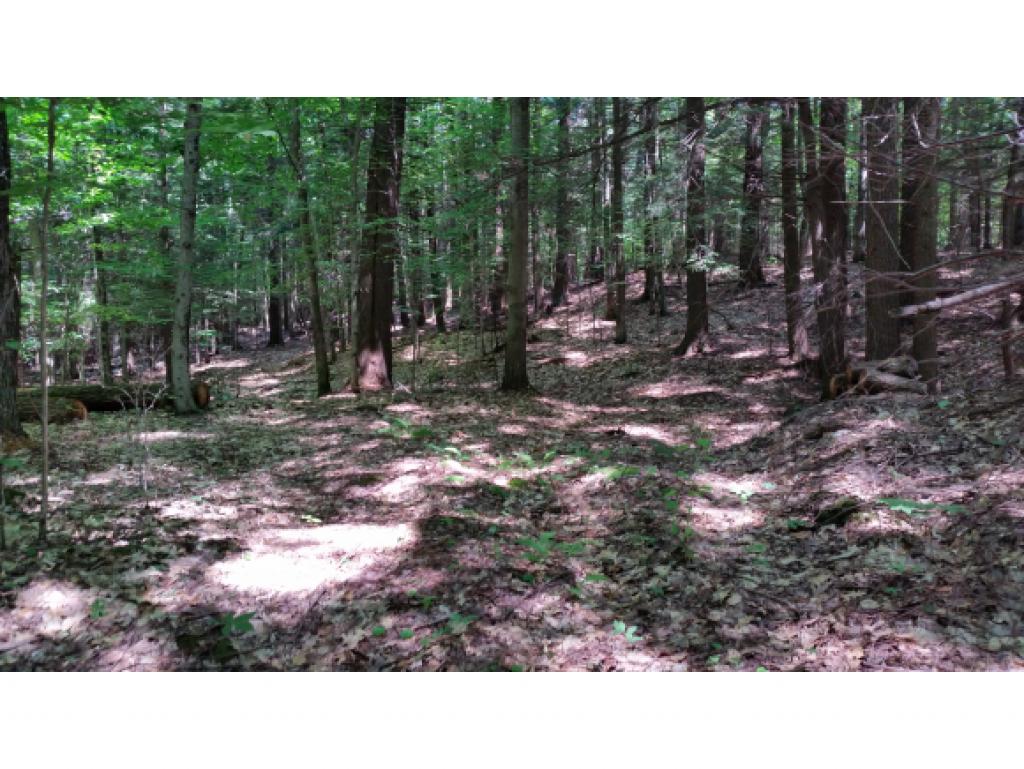 62 Stevens Road Hanover, NH 03755 - Photo 3 of 19