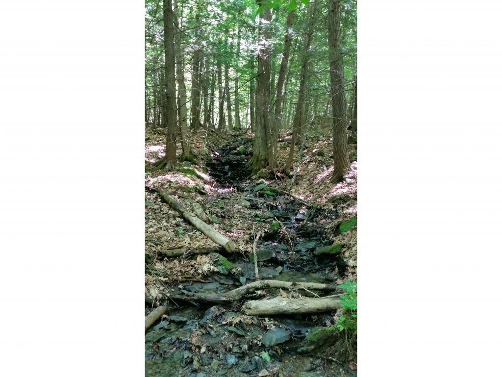 62 Stevens Road Hanover, NH 03755 - Photo 4 of 19