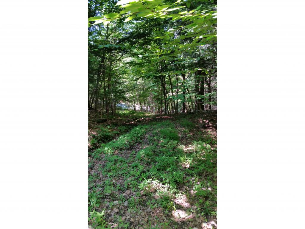 62 Stevens Road Hanover, NH 03755 - Photo 5 of 19