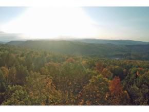 62 Stevens Road Hanover, NH 03755 - Photo 8 of 19