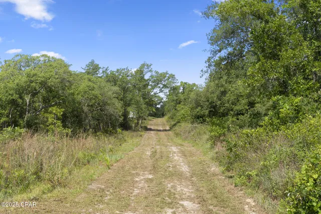 $174,900 | 21835 Lake McKenzie Boulevard, Altha, FL 32421