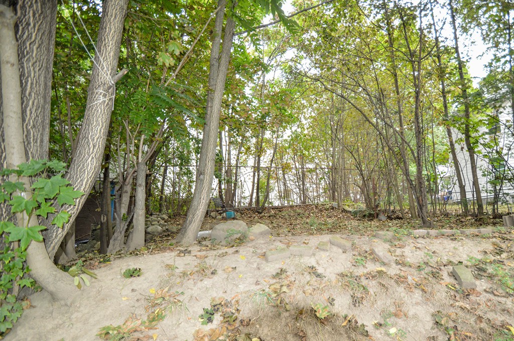 21 Imrie Road Boston, MA 02135 - Photo 3 of 14