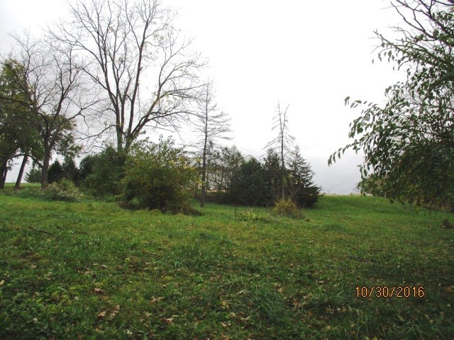 2697 North Unity Road Lena, IL 61048 - Photo 3 of 16 a view of a grassy field with trees