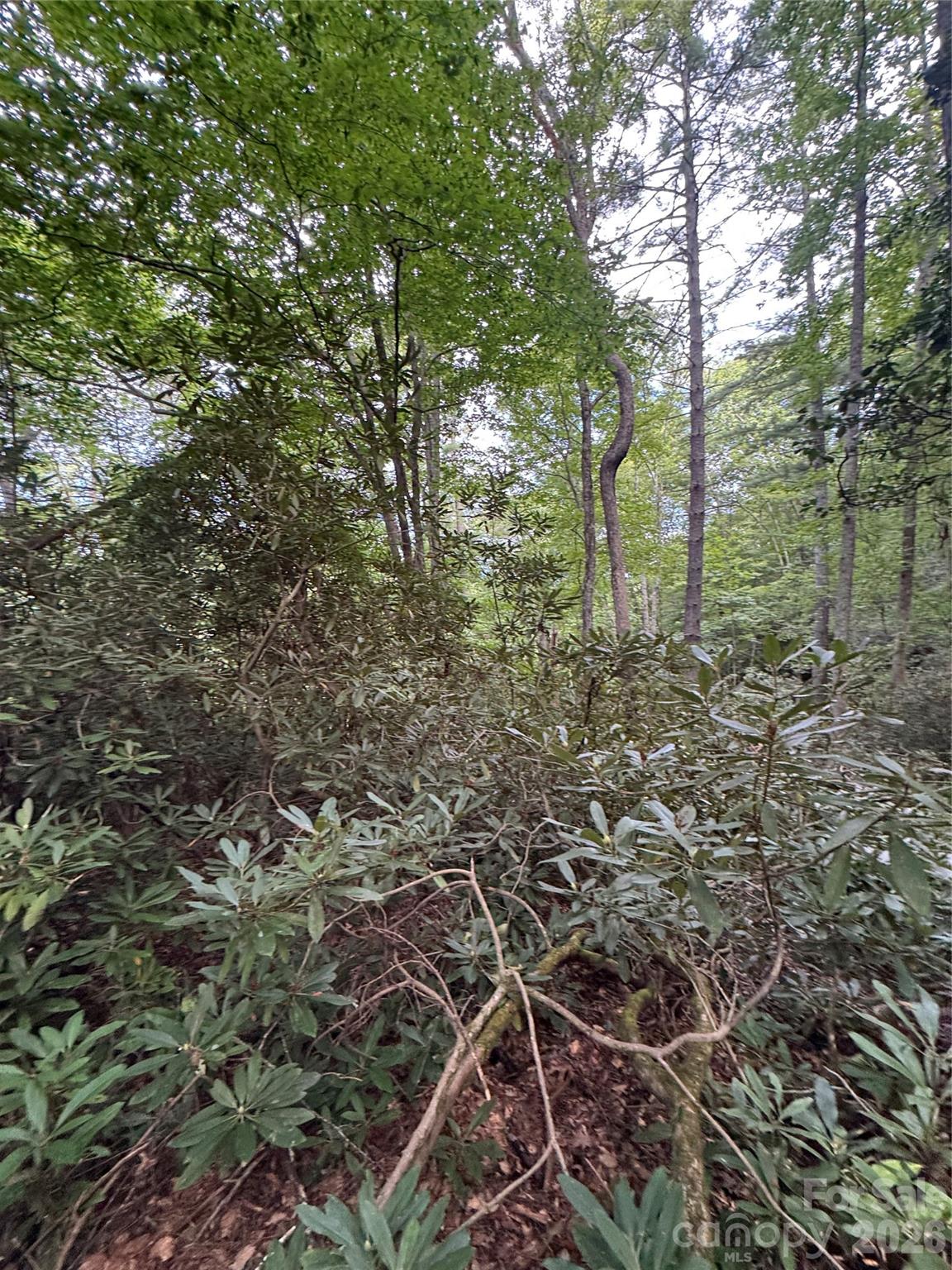 0 Wilson Road Brevard, NC 28712 - Photo 28 of 41 Gallery Image 28