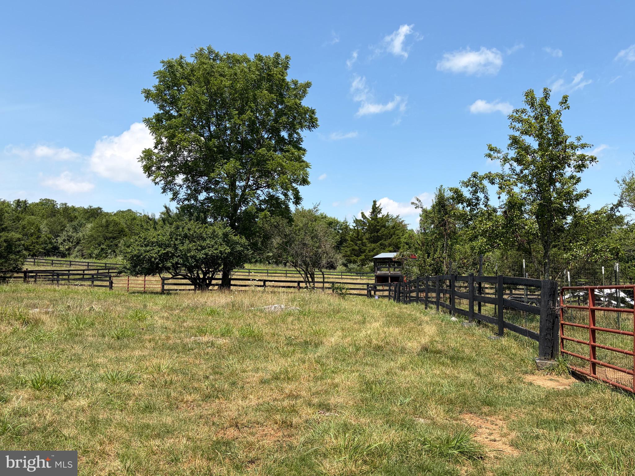 936 Gun Barrel Road White Post, VA 22663 - Photo 14 of 41 two story goat barn in the distance.
