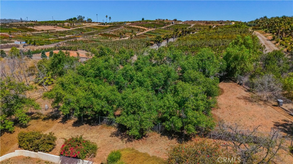 8258 Via Urner Way Bonsall, CA 92003 - Photo 38 of 49