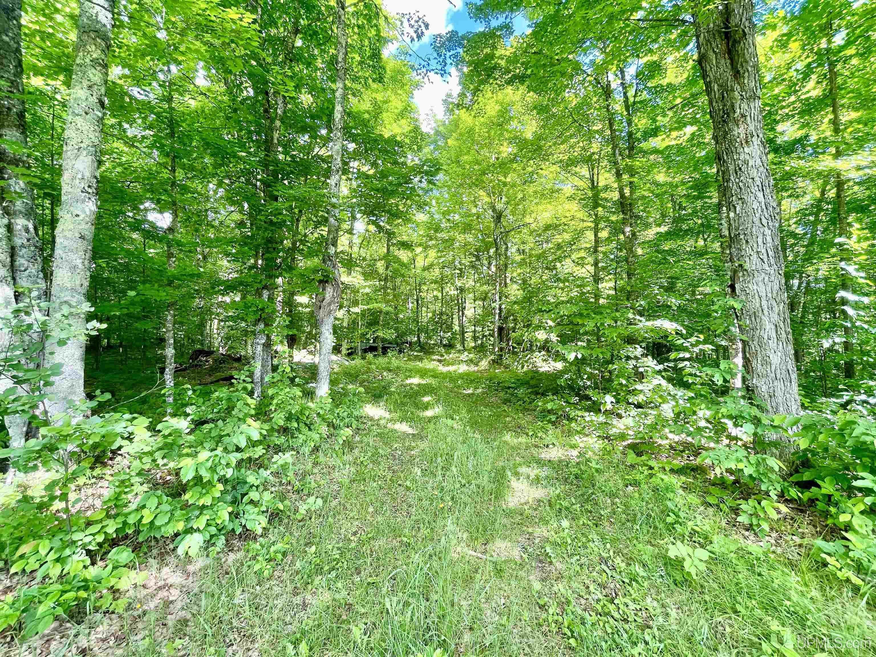 Tbd Norway Lake Road Felch, MI 49831 - Photo 13 of 14