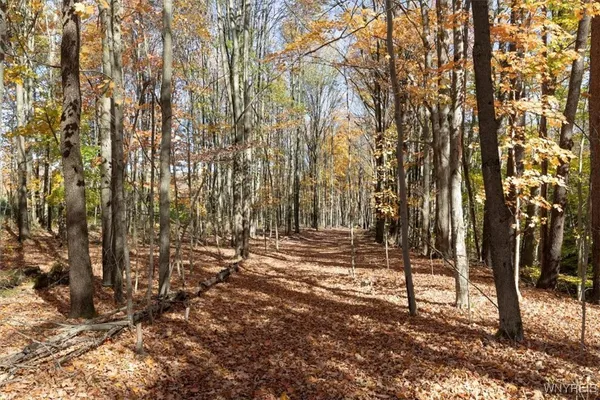 $385,000 | 9189 Burlingham Road, Holland, NY 14080