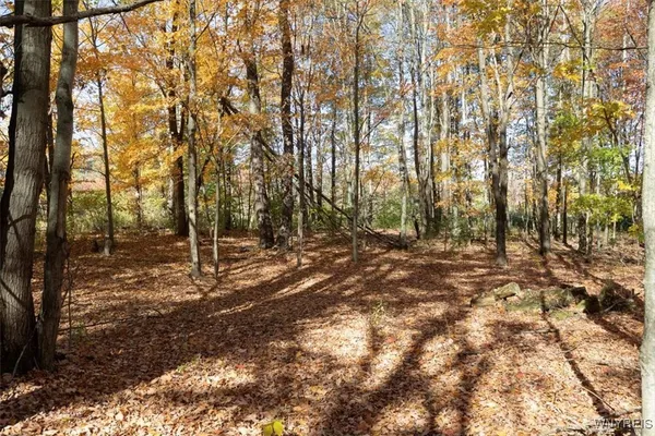 $385,000 | 9189 Burlingham Road, Holland, NY 14080