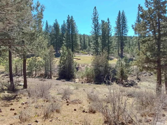 a view of a yard covered in snow
