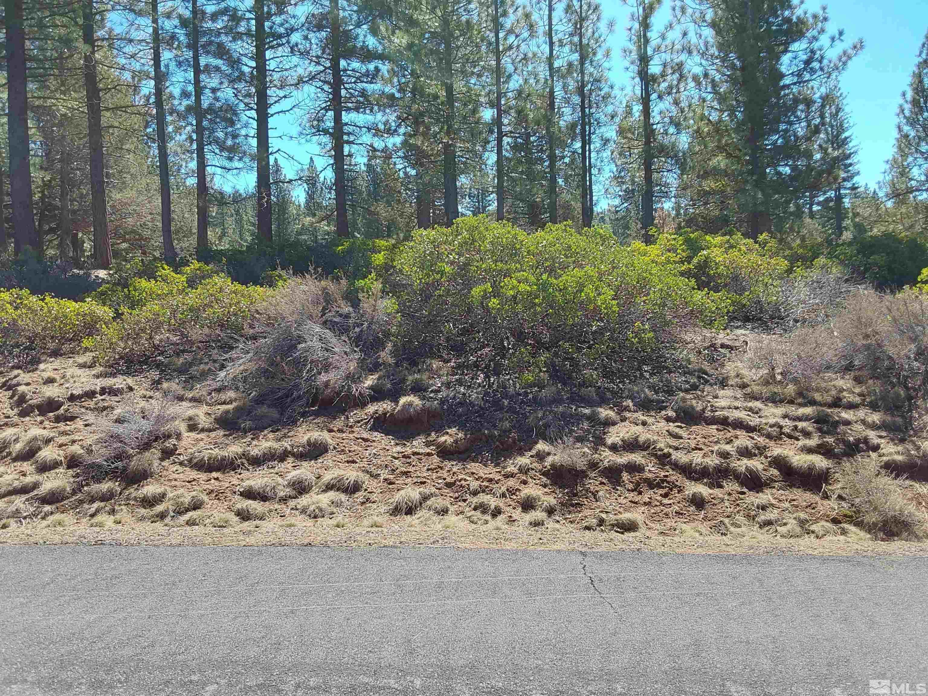 522 Sunburst, Unit 81 Other, CA 99999 - Photo 3 of 4 a backyard of a house with lots of green space