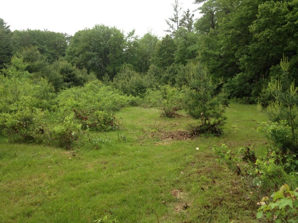 823 West Minot Road Minot, ME 04258 - Photo 32 of 34 Lots of nature in this abundant yard