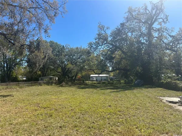 a view of a yard with a tree