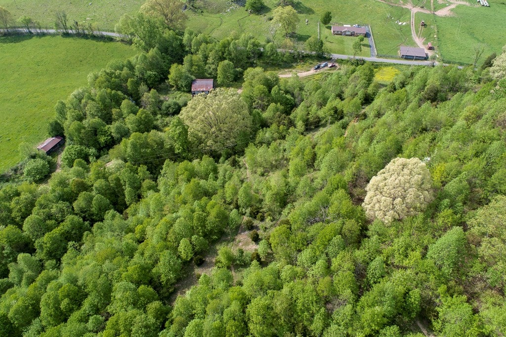 Tbd Finney Road, Unit 108R 800 Honaker, VA 24260 - Photo 16 of 32 Gallery Image 16