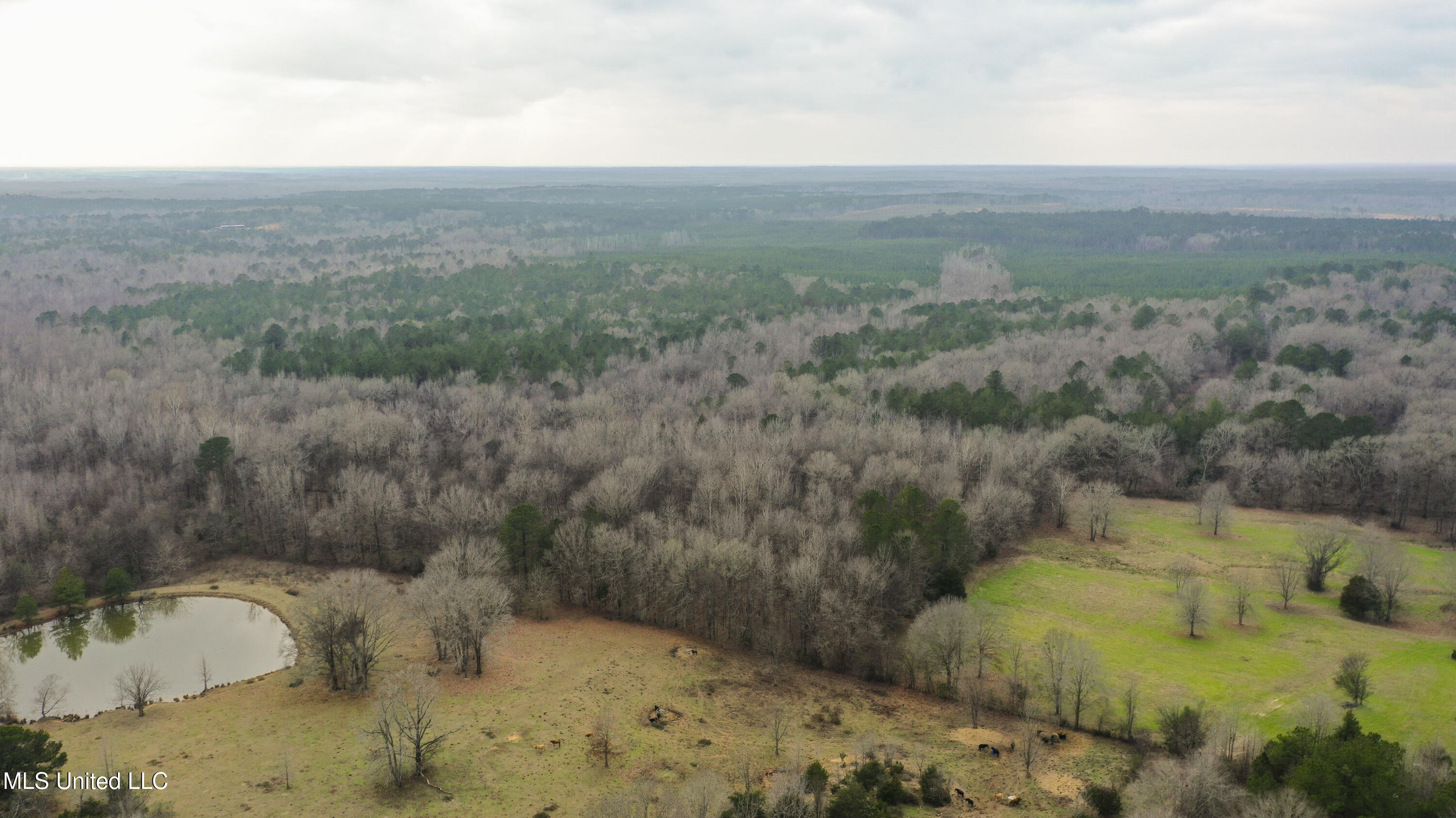 Mt Pilgrim Road Camden, MS 39045 - Photo 49 of 74 Camden-50 Acres-48