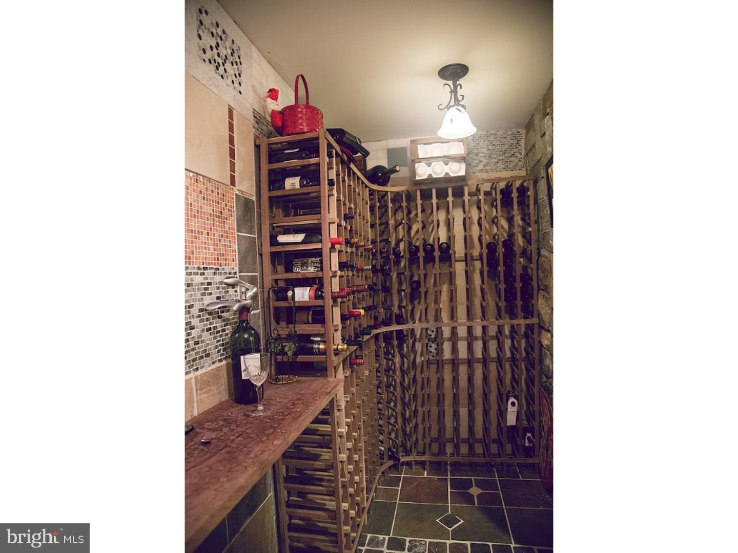 243 Biddulph Road Wayne, PA 19087 - Photo 14 of 24 Wine Cellar