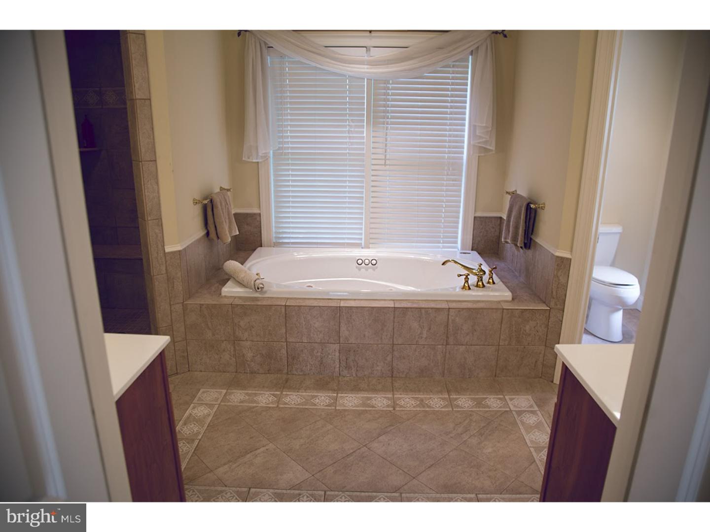 243 Biddulph Road Wayne, PA 19087 - Photo 7 of 24 Master Bathroom