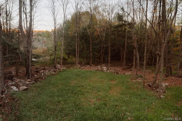 $699,000 | 190 Bowers Road, Roscoe, NY 12776