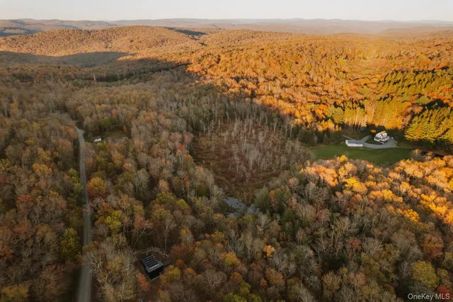 $699,000 | 190 Bowers Road, Roscoe, NY 12776